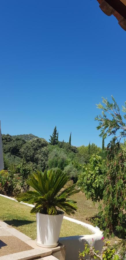 Villa Milagro - 3 Bedroom Finca Style Villa With Pool Near Golf Course/Beaches - Air Cond. بويينسا المظهر الخارجي الصورة