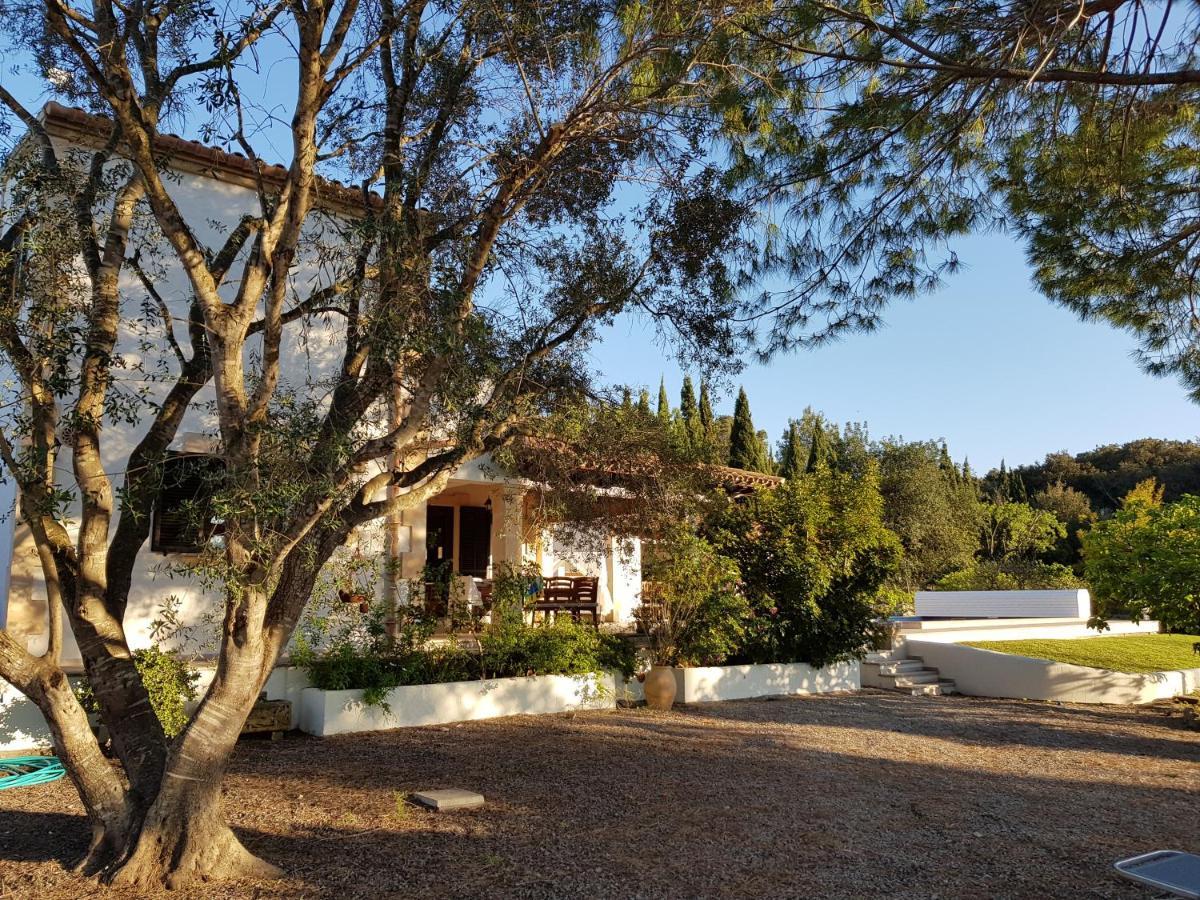 Villa Milagro - 3 Bedroom Finca Style Villa With Pool Near Golf Course/Beaches - Air Cond. بويينسا المظهر الخارجي الصورة